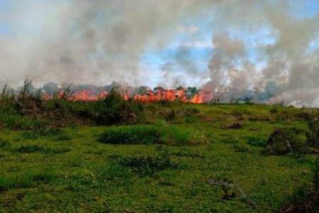 Kampong Cham Forest Fire