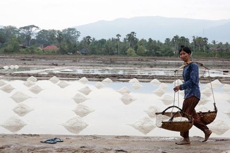 5,000 Tons of Salt Already Imported