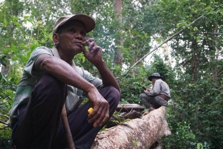 Meet the ‘vigilante’ grandfathers protecting indigenous forest life in Cambodia