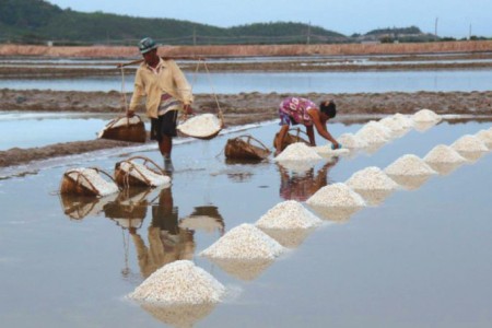 Kampot Salt Exported to France as Cambodia Imports From China