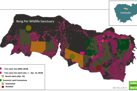 Illegal Logging Poised to Wipe Wildlife Sanctuary Off the Map