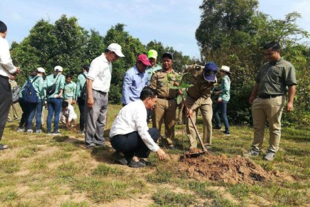 30,000 Trees a Year Planted in Angkor