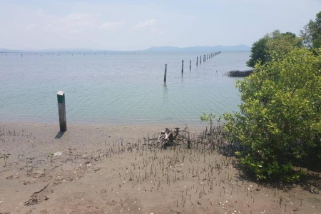 Kampot Sea Markers Cause Social Media Stir