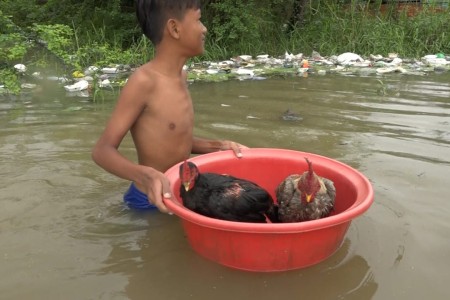 Evacuations in Poipet