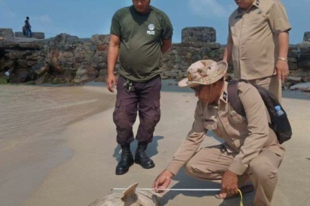 Humpback Dolphin Washes Up In Sihanoukville