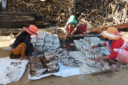 High Prices Lead To Illegal Fishing In Kampong Chhnang