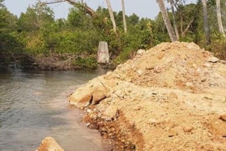 Kampot Mangrove Filling Work Suspended