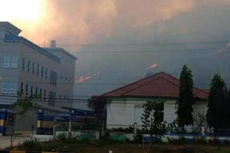 Forest Fire Behind Samlout, Battambang