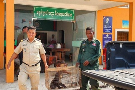 Prey Nop Police Hand Over Pet Bear