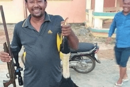 Kampot Giant Hornbill Bird Shooter Apologizes