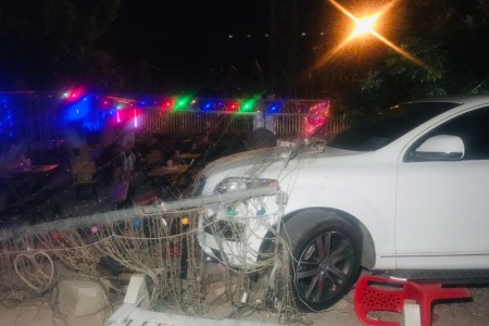 Audi Slams Into Cocktail Garden