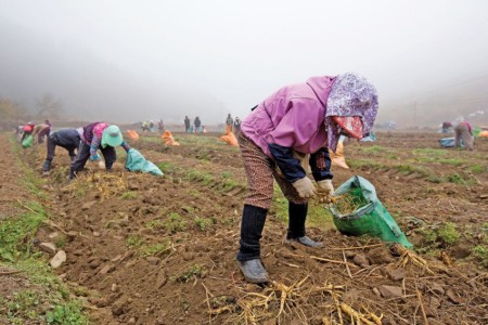 Cambodian Worker ‘Sub-Zero Conditions’ Death In Korea