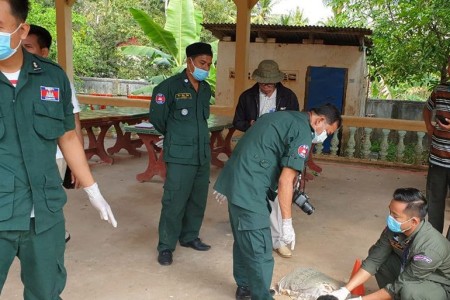 Police Investigating Body Dumped At Kampot Pagoda