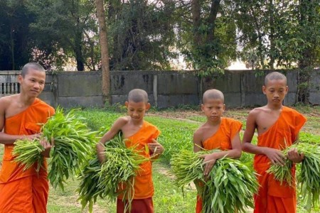 Monks Turn To Growing Produce In COVID Crisis