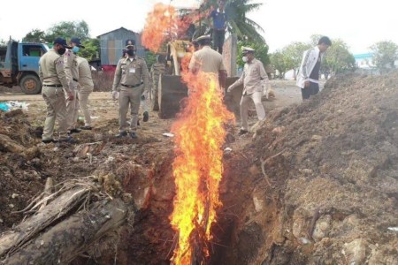 Smuggled Pig Carcasses Sent To Fiery Grave