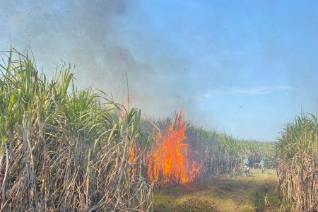 Arson Suspected After 40 Hectare Sugar Cane Fire