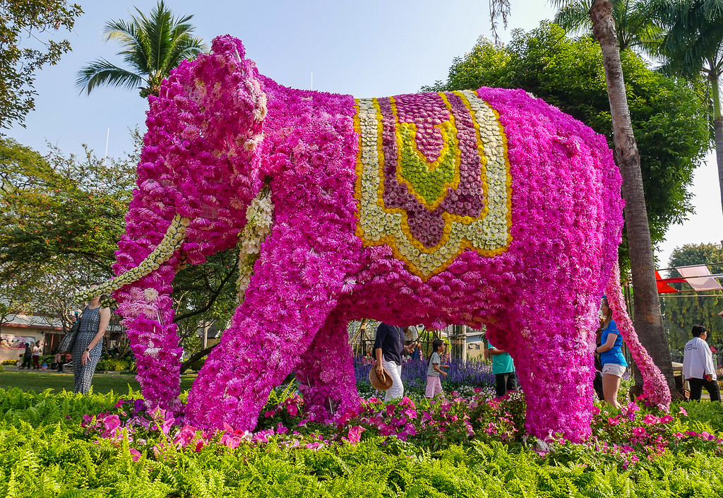 Chiang Mai Flower Festival 2025